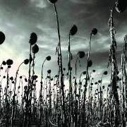 Le texte musical CHILDREN OF THE SUN de DEAD CAN DANCE est également présent dans l'album Anastasis (2012)
