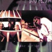 Le texte musical SHERM STICK de JAYO FELONY est également présent dans l'album Take a ride (1995)