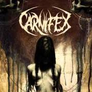 Le texte musical NEVER FORGIVE ME de CARNIFEX est également présent dans l'album Until i feel nothing (2011)