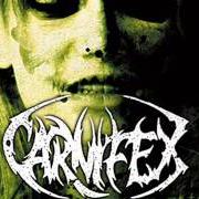 Le texte musical SUFFERING de CARNIFEX est également présent dans l'album The diseased and the poisoned (2008)