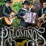 Le texte musical LO APRENDI DE TI de LOS PALOMINOS est également présent dans l'album Siente el amor (2013)