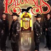 Le texte musical EL PEOR DE LOS CAMINOS de LOS PALOMINOS est également présent dans l'album Rockola 2 (2009)