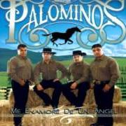 Le texte musical HASTA QUE ME AMES...BOLERO de LOS PALOMINOS est également présent dans l'album Me enamore de un angel (2008)