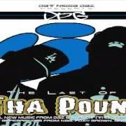 Le texte musical GOT TO GET IT GET IT de D.P.G. est également présent dans l'album Last of tha pound (2004)