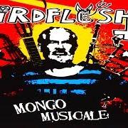 Le texte musical MR. BIG HEAD de BIRDFLESH est également présent dans l'album Mongo musicale (2006)