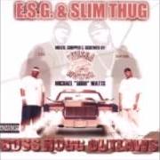 Le texte musical WORK THAT THING de E.S.G. & SLIM THUG est également présent dans l'album Boss hogg outlaws (2002)