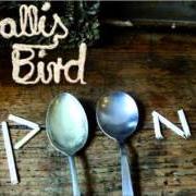 Le texte musical IN DICTUM de WALLIS BIRD est également présent dans l'album Wallis bird (2012)