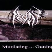 Le texte musical SWARMING VILE de DECAY est également présent dans l'album Gutting (2001)