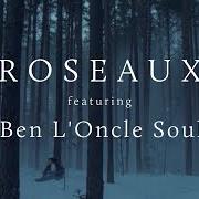 Le texte musical INDIFFERENCE de ROSEAUX est également présent dans l'album Roseaux (2012)