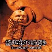 Le texte musical RANCID HEAD OF SPLATTER de REGURGITATE est également présent dans l'album Carnivorous erection (2000)