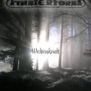 Le texte musical DES WALDES MACHT de FINSTERFORST est également présent dans l'album Weltenkraft (2007)