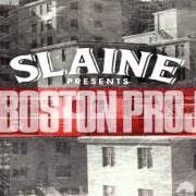 Le texte musical POLAROID PICTURE de SLAINE est également présent dans l'album The boston project (2013)