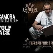 Le texte musical 3 AFFEN de RAF CAMORA est également présent dans l'album Therapie vor dem album (2008)