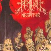 Le texte musical RAPED EMBALMED BEAUTY SLEEP de DEMILICH est également présent dans l'album Nespithe (1994)