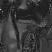 Le texte musical MORE THAN BONES de DEMON HUNTER est également présent dans l'album Peace (2019)