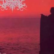 Le texte musical CHAPTER VI: FOREVER DREAMING... (SHADOW DANCE) de DESIRE est également présent dans l'album Infinity... a timeless journey through an emotional dream (1996)