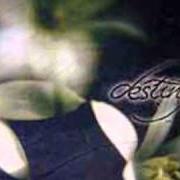Le texte musical SCENIC ROAD de DESTINY est également présent dans l'album Diving into eternity (2002)