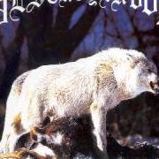 Le texte musical AUSTRALIAN AND ANTI-CHRIST de DESTROYER 666 est également présent dans l'album Unchain the wolves (1997)