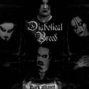 Le texte musical EVIL AT HEART de DIABOLICAL BREED est également présent dans l'album Dark alliance (2000)