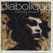 Le texte musical A GOLDEN GIRL FROM SOMEWHERE de DIABOLIQUE est également présent dans l'album The black flower (1999)