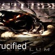 Le texte musical WARRIOR de DISTURBED est également présent dans l'album Asylum (2010)