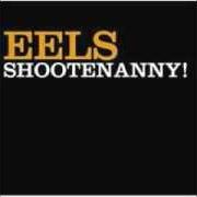Le texte musical NUMBERED DAYS de EELS est également présent dans l'album Shootenanny! (2003)