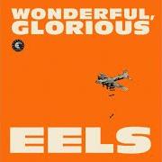 Le texte musical WONDERFUL, GLORIOUS de EELS est également présent dans l'album Wonderful, glorious (2013)
