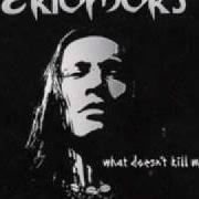 Le texte musical ENVY de EKTOMORF est également présent dans l'album What doesn't kill me... (2009)