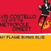 Le texte musical WATCHING THE DETECTIVES de ELVIS COSTELLO est également présent dans l'album My flame burns blue (2006)