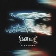 Le texte musical TRASH FOLDER de EMMURE est également présent dans l'album Hindsight (2020)