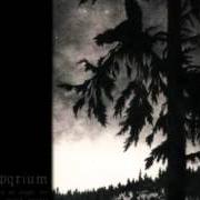 Le texte musical WEHMUT de EMPYRIUM est également présent dans l'album Where at night the wood grouse plays (1999)