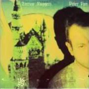Le texte musical IL VOLO DI PETER PAN de ENRICO RUGGERI est également présent dans l'album Peter pan (1991)