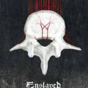 Le texte musical THE WATCHER de ENSLAVED est également présent dans l'album Vertebrae (2008)