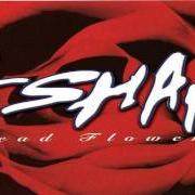 Le texte musical ANY STYLE YOU WANT de ESHAM est également présent dans l'album Dead flowerz (1996)