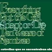 Le texte musical SINGLE de EVERYTHING BUT THE GIRL est également présent dans l'album Adapt or die: ten years of remixes (2005)
