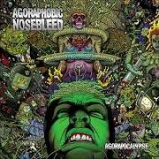 Le texte musical QUESTION OF INTEGRITY de AGORAPHOBIC NOSEBLEED est également présent dans l'album Agorapocalypse (2009)