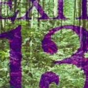 Le texte musical GAIA de EXIT-13 est également présent dans l'album Don't spare the green love (1993)