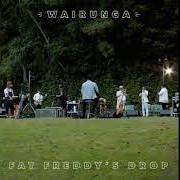 Le texte musical BUSH TELEGRAPH de FAT FREDDY'S DROP est également présent dans l'album Wairunga (2021)