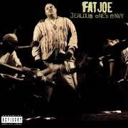 Le texte musical KING OF NEW YORK de FAT JOE est également présent dans l'album Jealous one's envy (1995)