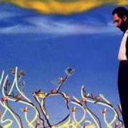 Le texte musical FOGH IN NAKHAL de FRANCO BATTIATO est également présent dans l'album Caffe' de la paix (1993)