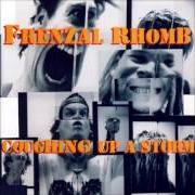 Le texte musical CONES de FRENZAL RHOMB est également présent dans l'album Coughing up a storm (1995)