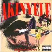 Le texte musical STAY WILD de AKINYELE est également présent dans l'album Live at the barbeque 1994 (1999)