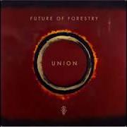 Le texte musical STILLED de FUTURE OF FORESTRY est également présent dans l'album Future of forestry (2006)
