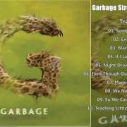 Le texte musical AMENDS de GARBAGE est également présent dans l'album Strange little birds (2016)