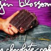 Le texte musical DON'T CHANGE FOR ME de GIN BLOSSOMS est également présent dans l'album No chocolate cake (2010)