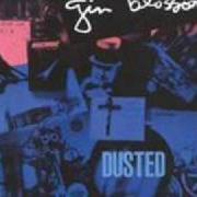 Le texte musical HEY JEALOUSY de GIN BLOSSOMS est également présent dans l'album Dusted (re-release) (2002)