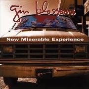 Le texte musical HEY JEALOUSY de GIN BLOSSOMS est également présent dans l'album New miserable experience (1992)