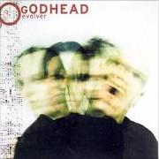 Le texte musical JUST LIKE YOU de GODHEAD est également présent dans l'album Evolver (2003)