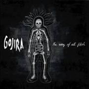 Le texte musical THE ART OF DYING de GOJIRA est également présent dans l'album The way of all flesh (2008)