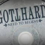 Le texte musical REASON FOR THIS de GOTTHARD est également présent dans l'album Silver (2017)